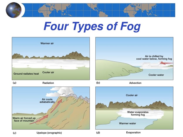 as-fog-comes-to-delhi-a-look-at-the-phenomenon-and-what-causes-it