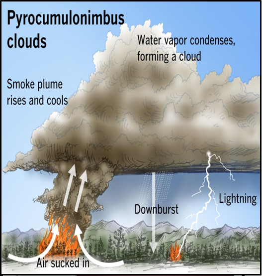 INCREASED WILDFIRES FUEL MORE PYROCUMULONIMBUS CLOUD FORMATION - UPSC