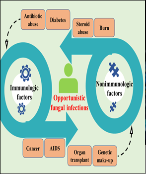 INDIA FACES RISING THREAT OF RESISTANT FUNGAL INFECTIONS - UPSC