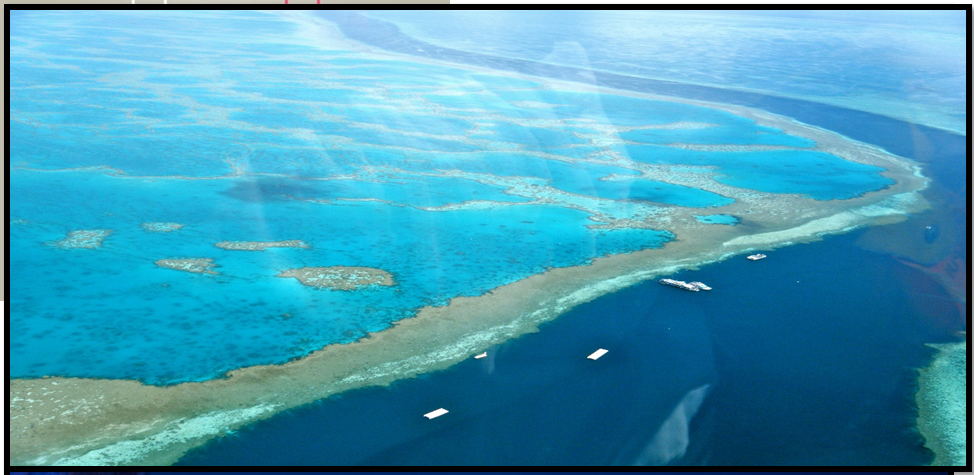 RECORD TEMPERATURES IN GREAT BARRIER REEF SEEN IN LAST DECADE - UPSC