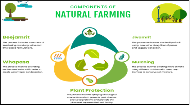 TRANSFORMING AGRICULTURE: ANDHRA PRADESH’S NATURAL FARMING SUCCESS - UPSC