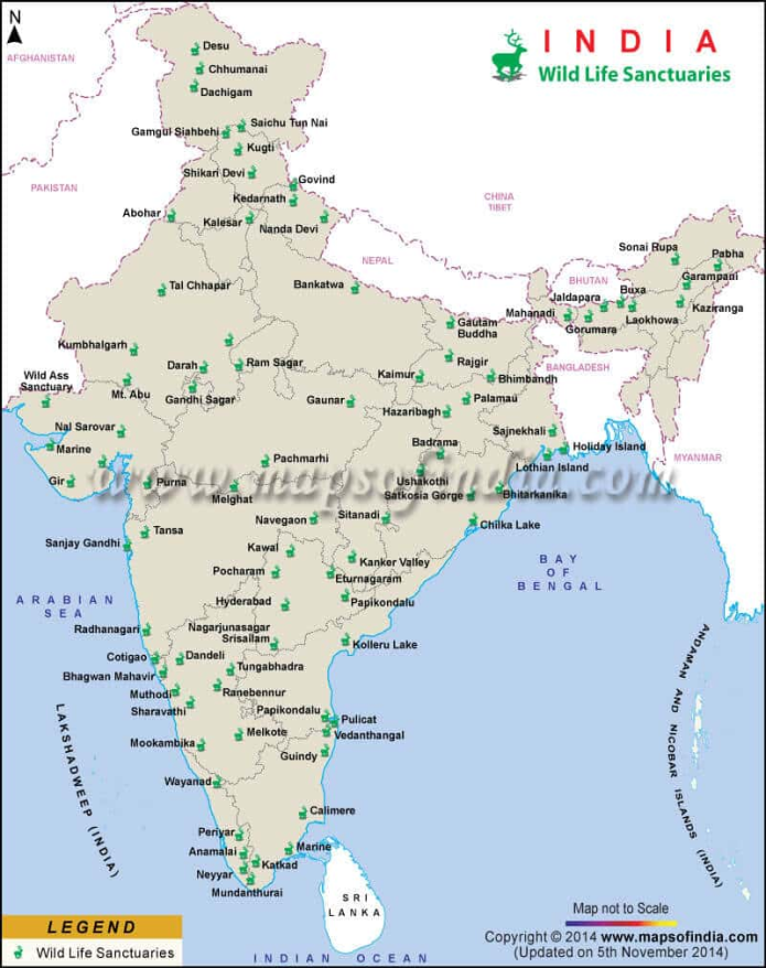 Zeilad Wildlife Sanctuary Faces Oil Exploration Controversy