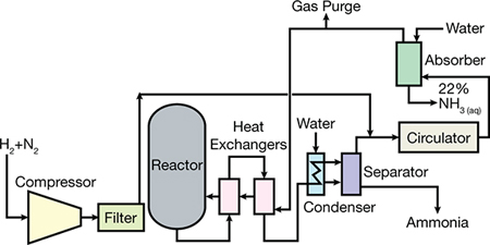 Ammonia Production: Key to Agriculture And Environmental Challenges