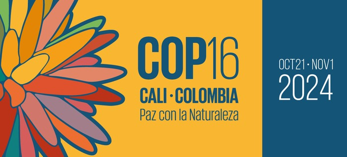 Biodiversity COP16: Global Efforts to Preserve Nature