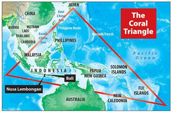 The Coral Triangle: Vital Marine Ecosystem Under Threat