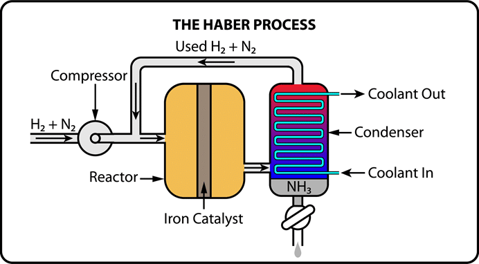 Ammonia Production: Key to Agriculture And Environmental Challenges