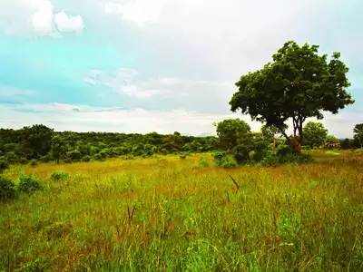 Hesaraghatta Grassland of Bengaluru is now a Conservation Reserve