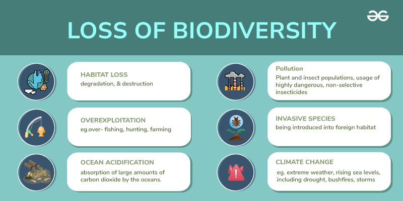 Biodiversity Declining Faster in Protected Areas than Expected