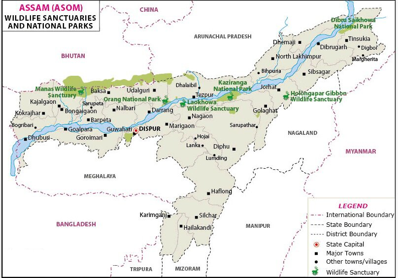 Kaziranga: Second Largest Butterfly Habitat in India