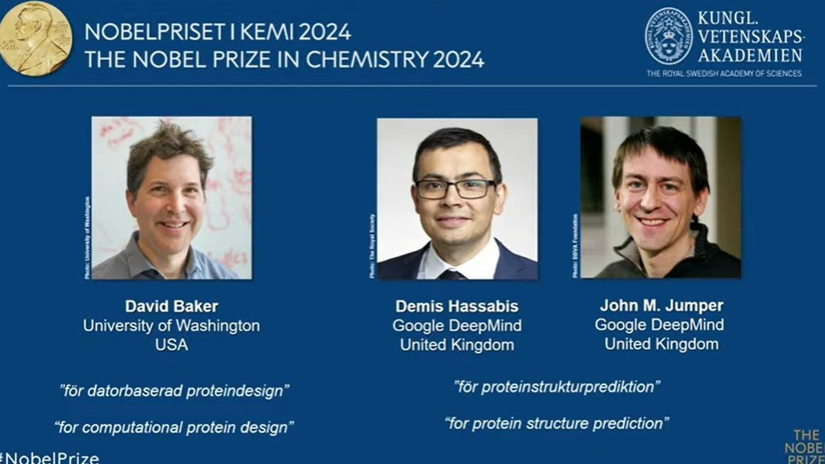 Nobel Prize 2024 Awarded for Protein Structure Innovations