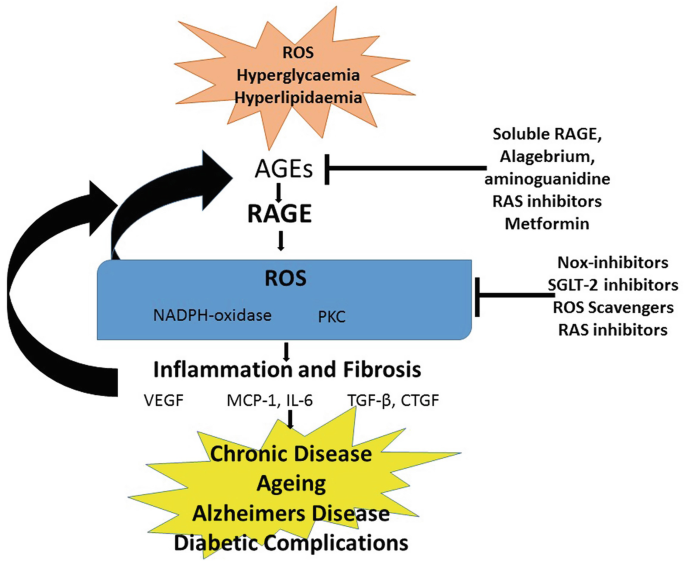 Advanced Glycation End Products Linked to Rising Diabetes Rates