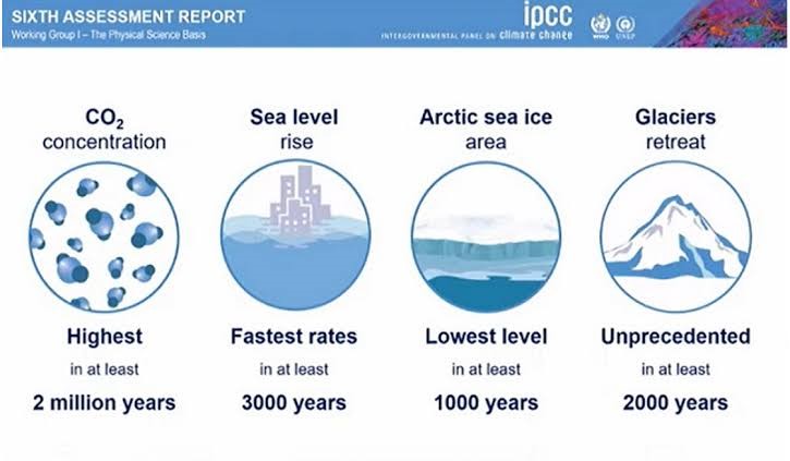 Coastal Flooding Impacting Trees Species