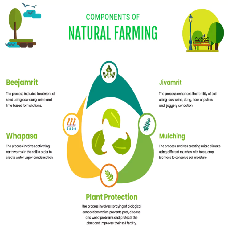 National Mission on Natural Farming (NMNF) Launched