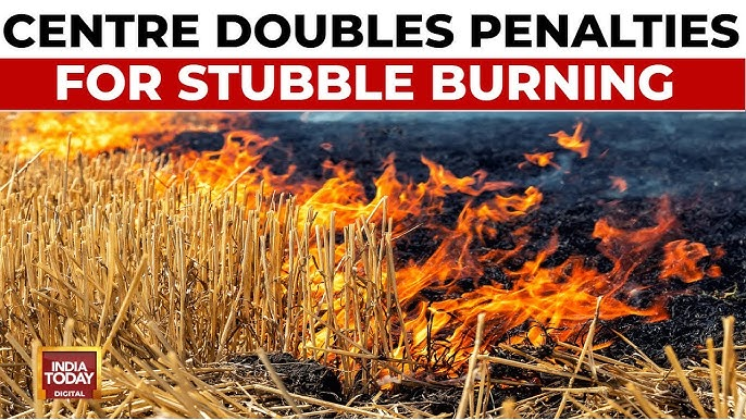 Government Doubles Fines to Curb Stubble Burning Pollution