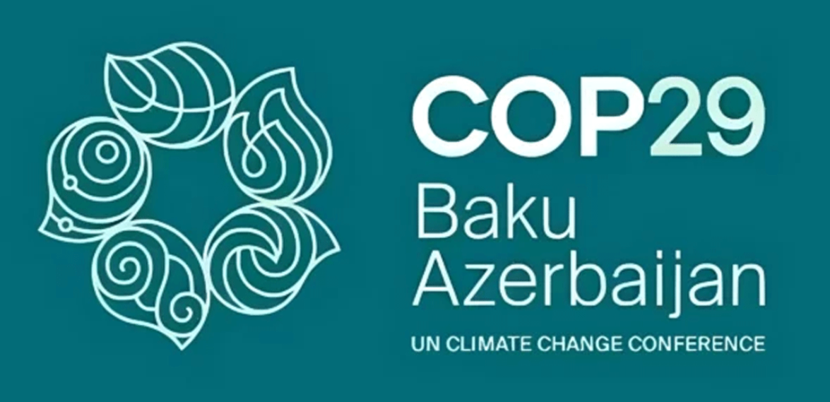 Carbon Credit and upcoming COP-29