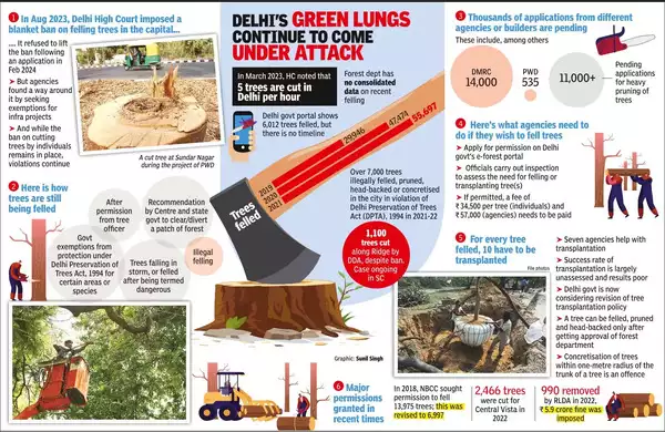 Supreme Court Questions Tree-Felling Process in Delhi City