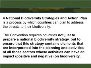 India Launches Updated Biodiversity Strategy at COP 16