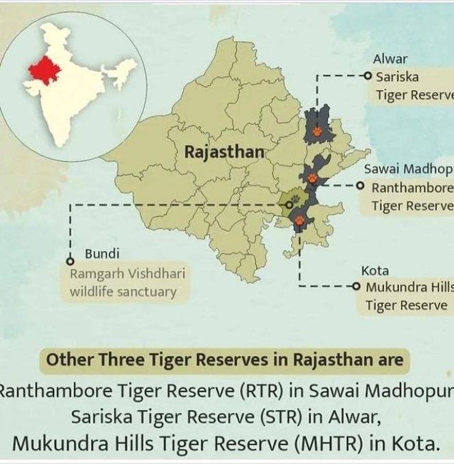 Tiger-Human Conflict at Ranthambore Tiger Reserve : A Struggle for Space