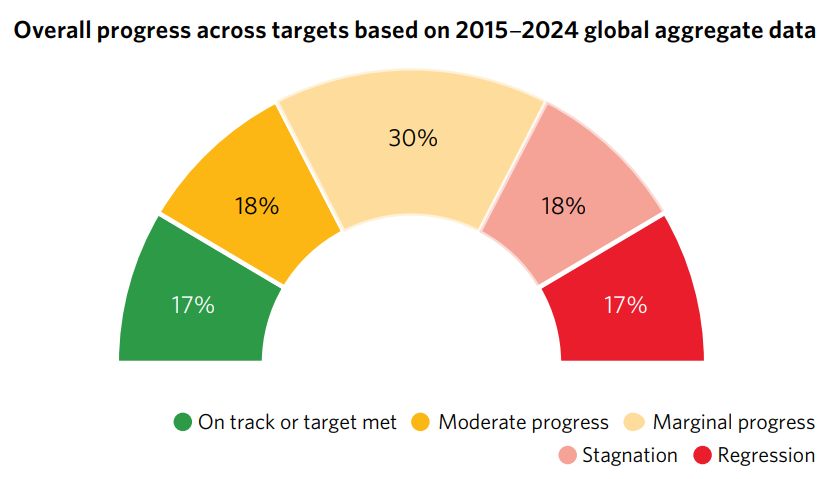 Declining Health Spending Risks Achieving SDG Targets