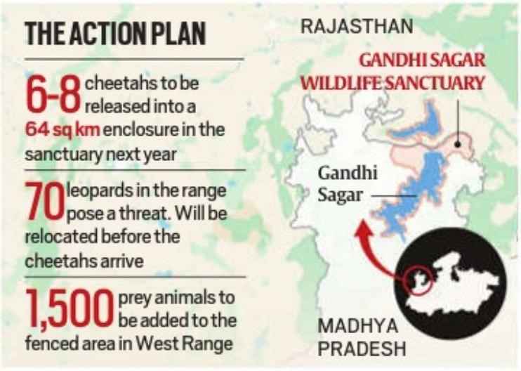 MP PLANS NEW HOME FOR CHEETAHS: ACTION PLAN OVERVIEW