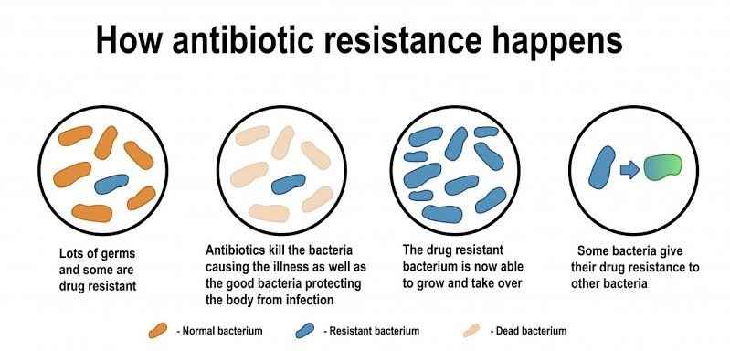 Nanoplastics Escalate Antibiotic Resistance, Threatens Global Health