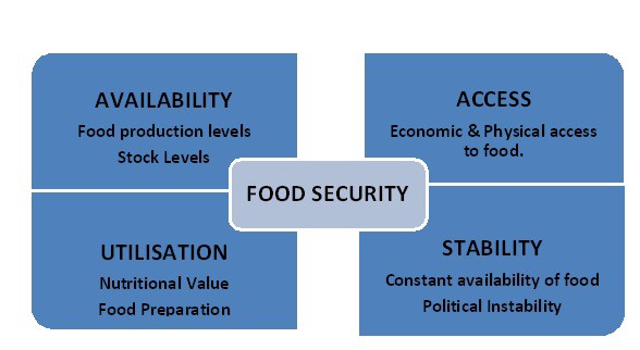 SC Criticizes Outdated Census for Food Security Act