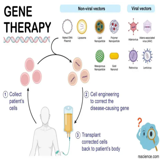 Gene Therapy Successfully Treats Haemophilia A in India