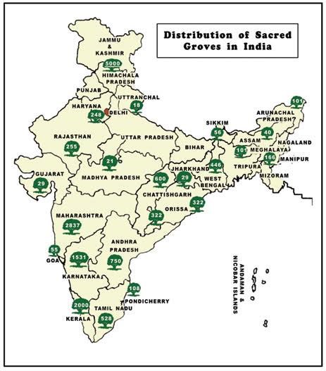 SACRED GROVES: BIODIVERSITY AND TRADITION