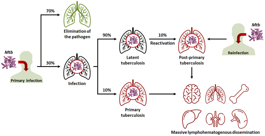 India’s Accelerated Fight Against Tuberculosis: A Unified Approach 