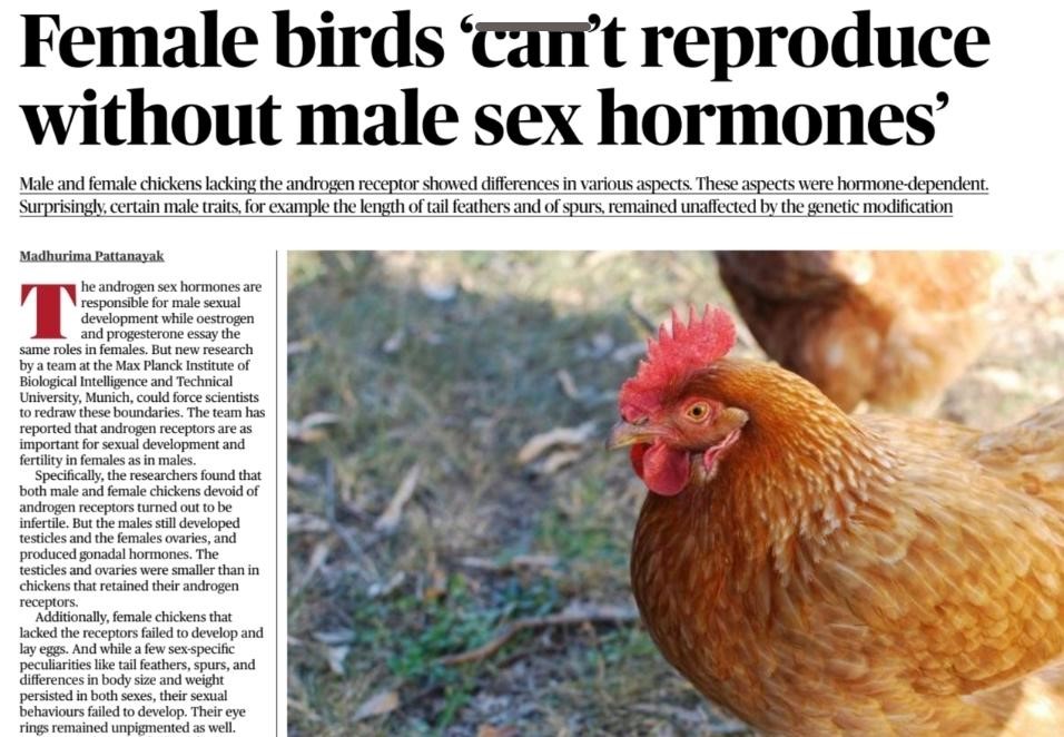  Androgen Receptors: Key to Avian Sexuality