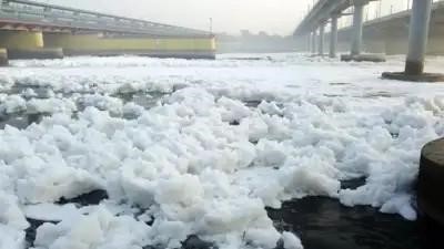 High Ammonia Levels in Yamuna Threaten Delhi Water