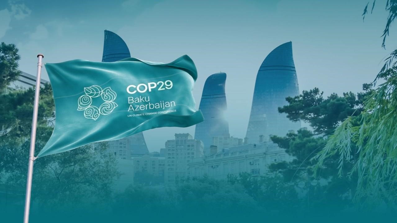 COP29: Climate Finance Commitments and Global Disparities