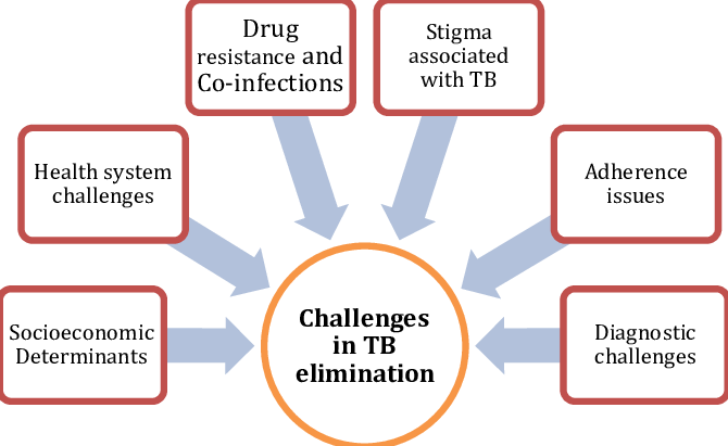 India’s Challenges and Efforts to End TB Crisis