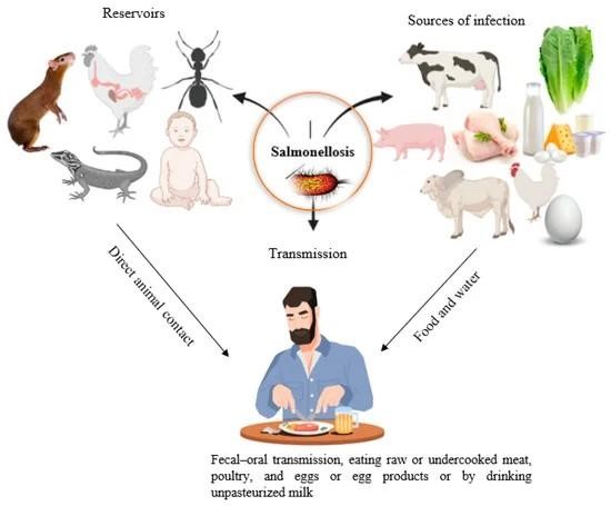 Health and Environmental Threats: Bird Flu to Salmonella