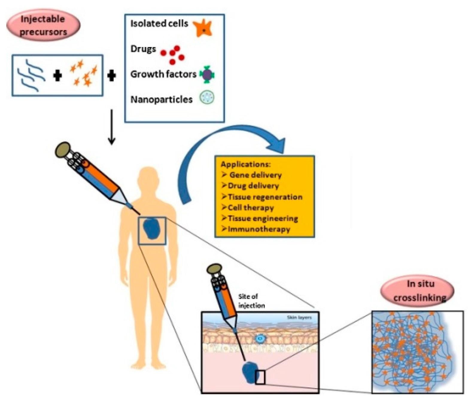 Indian Researchers Develop Injectable Hydrogel for Cancer Treatment