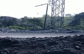 Coal Dust in Odisha Impacts Plant Carbon Uptake