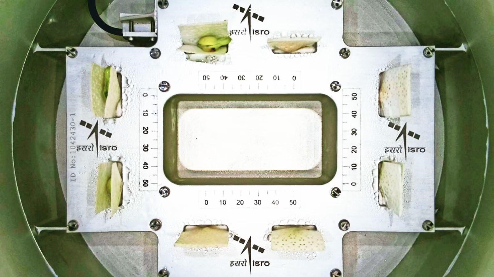 ISRO's Space Farming Breakthrough: Growing Plants in Space