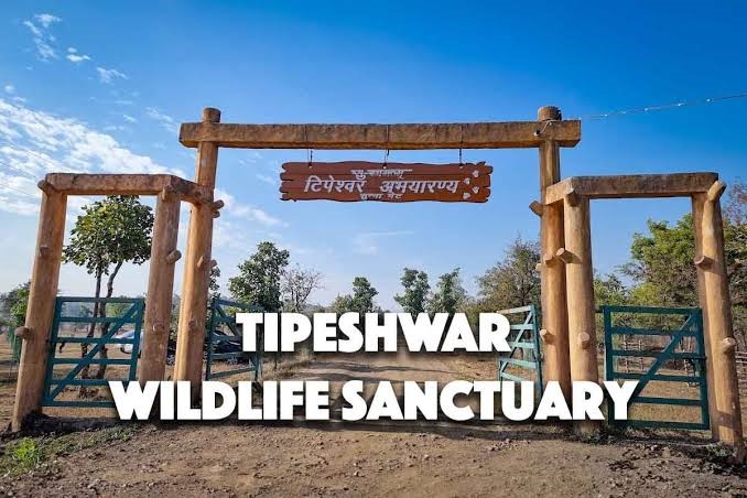 TIPESHWAR WILDLIFE SANCTUARY: A GREEN OASIS IN MAHARASHTRA