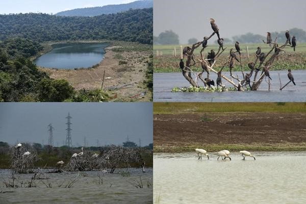 India Adds Four New Ramsar Sites, Total 89