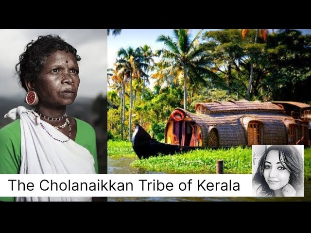 Kerala’s Tribal Education: Inclusive Learning for Cholanaikkans