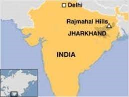 Rare Petrified Fossil Unearthed in Jharkhand’s Rajmahal Hills