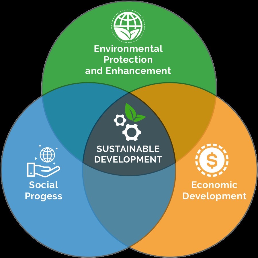 Balancing Consumption and Investment for Sustainable Economic Growth