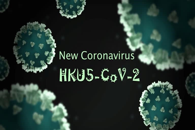 HKU5-CoV-2: A New Coronavirus Raising Global Concerns