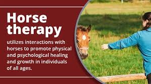 WHO, Climate Impact, and Horse Therapy for Well-being