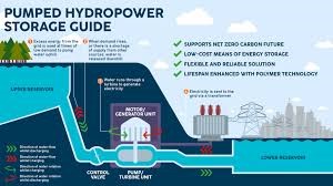 The Sharavati Valley Pumped Storage Project Debate