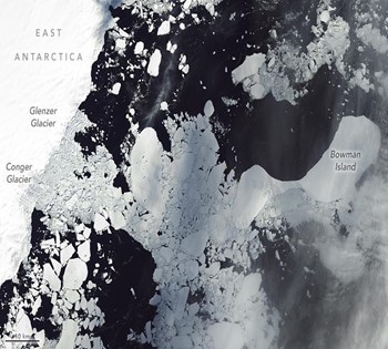 Life Discovered Beneath Antarctic Ice Shelf After Iceberg Breakaway