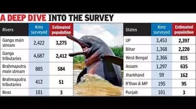 India’s First River Dolphin Estimation Reveals 6,327 Dolphins