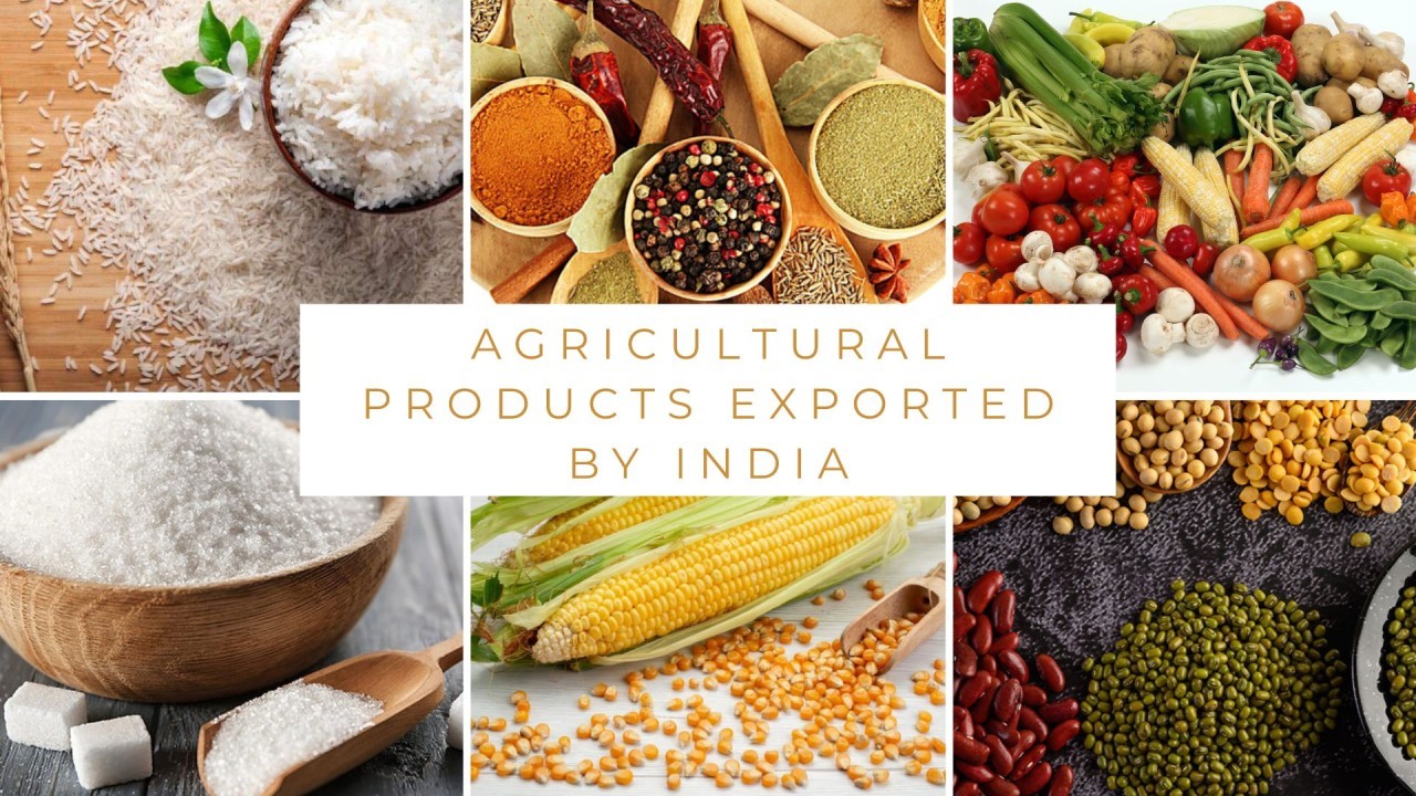 Boosting India’s Agricultural Exports: Challenges, Barriers, and Reforms