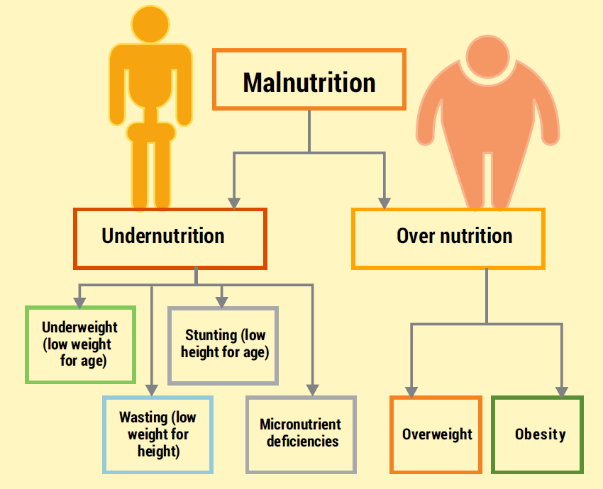 The Rising Burden of Obesity in India