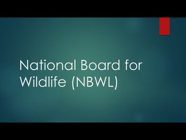 National Board for Wildlife: History, Role, and Controversies